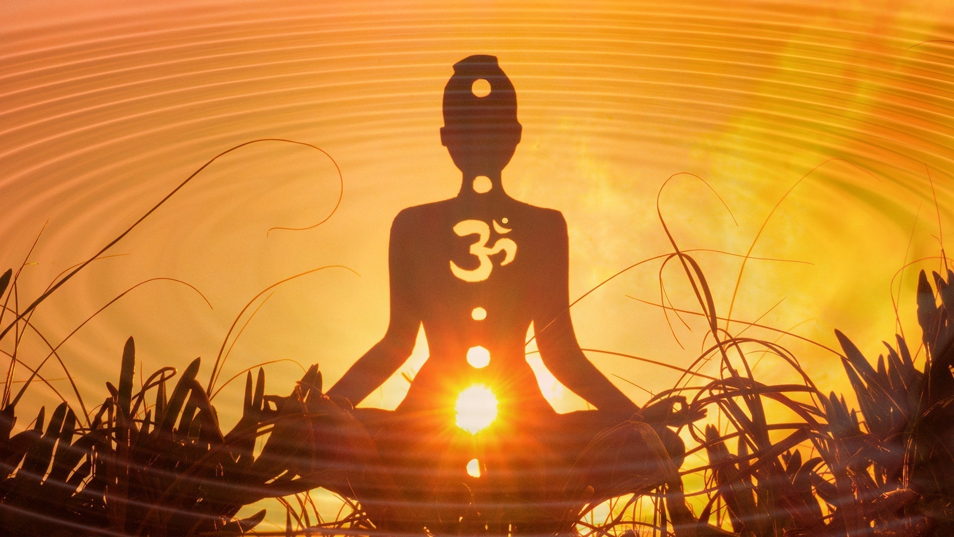 Energy. Frequency. Vibration