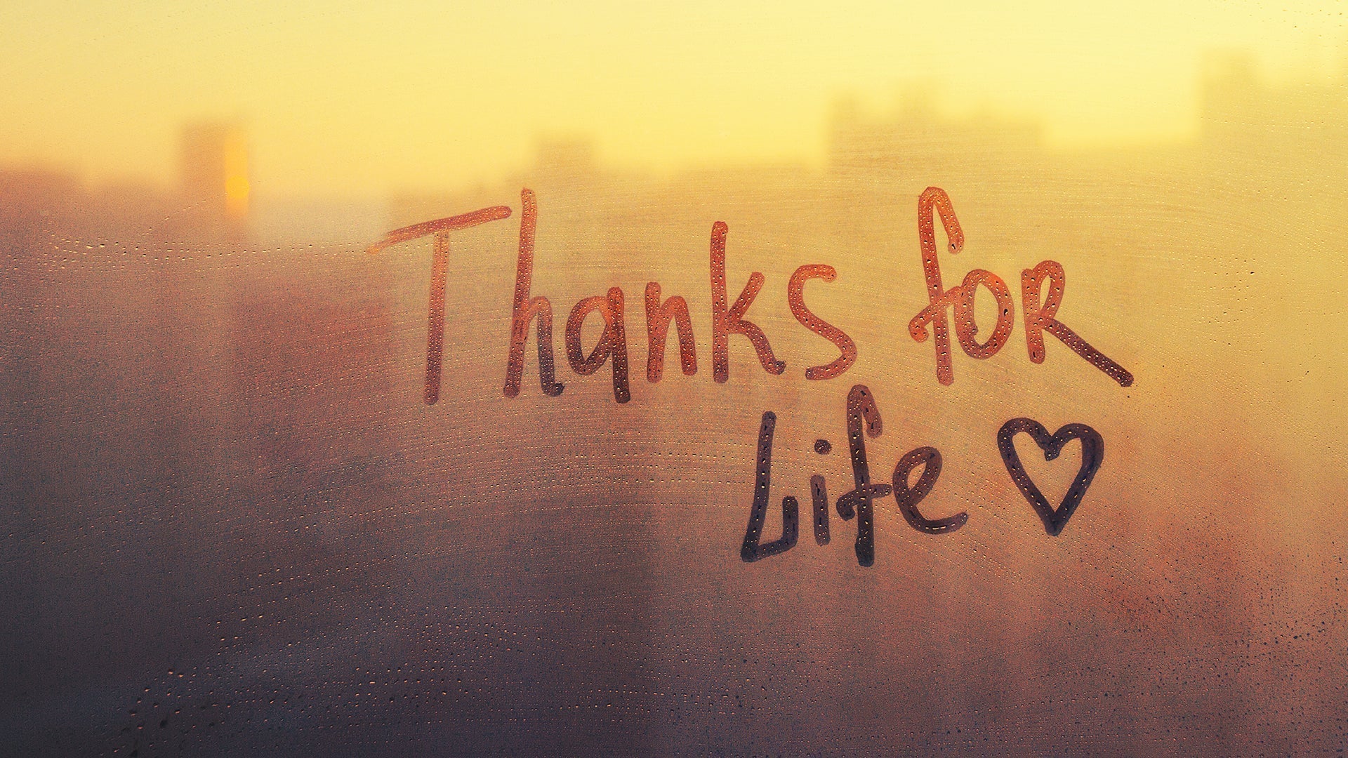 Gratitude