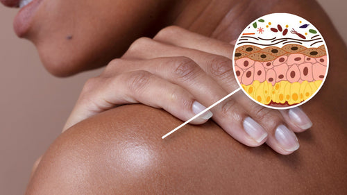 The Skin Microbiome